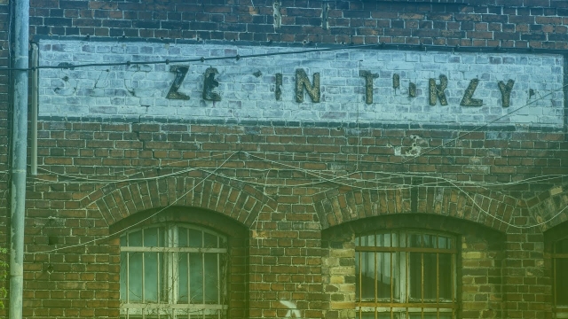 Turzyn